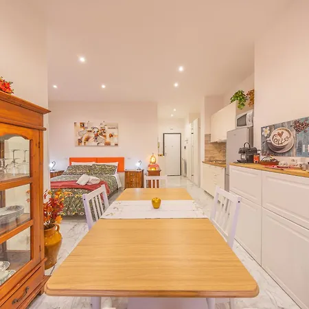公寓 Vatican Loft For Near Metro Station 罗马